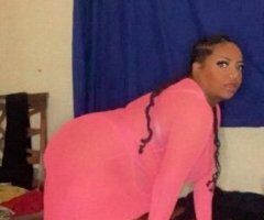 special 140$ hhr incall only baby i got the best head in the planet and i got 5 star pussy and squirter 💦💦baby come find out💯a - Image 5