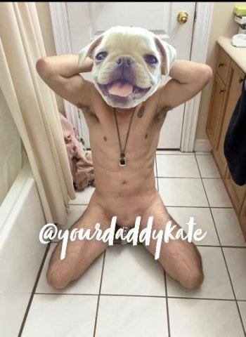 GOOD PUPZ ONLY 🐕‍ IF YOU DO NOT READ MY AD DO NOT MESSAGE ME - 1