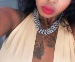 Palm Springs escorts - welcome to hunntterville