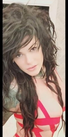 ⭐⭐🌟💃🌟💃⭐💃⭐ CHARLI BANG 💃#1💃💃#1💃💃#1💃💃 - 1