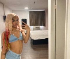 Monterey escorts - SEXY FUN PETiTE EXOTIC