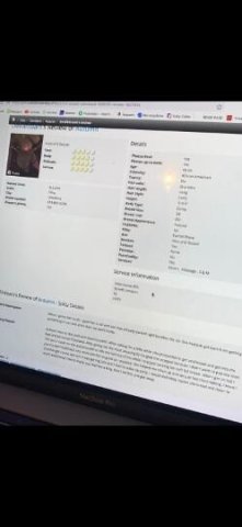 New Reviews!!HigHly FavoRed & Fun_FETISH Friendly♀100%REAL,Freaky And Fun🤪😻😊 💦😊itZ AuTuMn with the Great ReViews And Vibez - 1