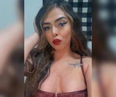 New sexy Latina babe visting. Dont miss out! - Image 3