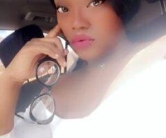 Palm Bay escorts - I'm back in town 😁😘