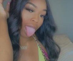 Palm Bay escorts - 🎩🏆Gєитℓємєи'ѕ Choicє🏆🎩 🌟High Clɑss🥂🍾Aмαzιиg 🌙Bσмвѕнєℓℓ✨