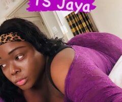 🇯🇲 MS. JAYA THEE JAMAICAN🇯🇲 - Image 5