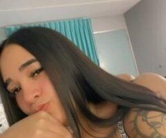 Sarasota/Bradenton escorts - Daniela
