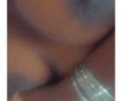 Tampa escorts - CHOCALATE_DROP