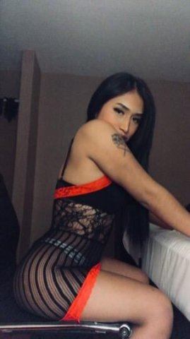 ximena TRANS🩵🩷🤍🩷🩵 - 1