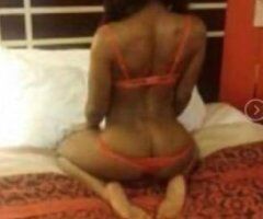 two slim chocolate 🍫 🍫 🍫 🍫 kittens in New York City looking to party - Image 4