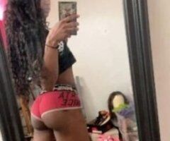 two slim chocolate 🍫 🍫 🍫 🍫 kittens in New York City looking to party - Image 5