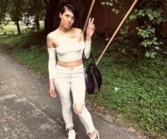 St. Louis escorts - no catfish no problems great legit business