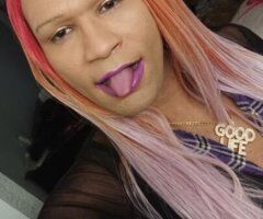 exotic soul snatcher now hosting - Image 5