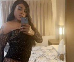 Mendocino escorts - Beautiful💕💞 Glamorous💦SexyTs💅🏼JasminStarr💋👑👠 NOW Available inTown🤤💞HOT ,WET💦& READY avlb 24hrs InCall/Outcall & Car play😝 rohnert park ca‼‼💋🥰