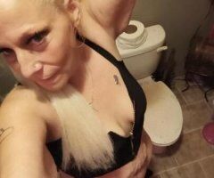cougar on the prowl - Image 6