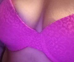 cougar on the prowl - Image 7