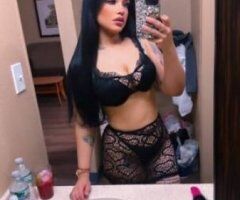 NEW ✅💃✈ ARGELIAN 🇩🇿 🔥🔴WOBURN ✅✈ AMIRA 🔥🔴🔥WHITE 🔥🔴🔥🔴 EXOTIC 🤍 - Image 5