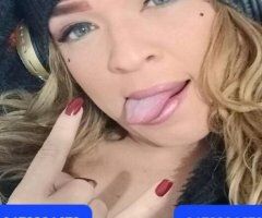 🐩🐕THE ULTIMATE PLAYMATE PAMELA🐩🐕 LOW PRICES I HAVE NO PLACE YOU SHOULD LOOK FOR ME AT MY HOUSE CENTRAL AREA TALK TO ME NOW - Image 2