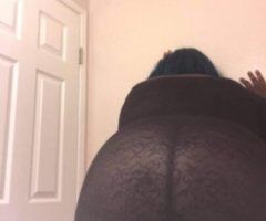 North Bay escorts - available now