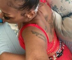 Bronx escorts - The fake reviews are funny but its not stopping my money!! I love my haters, No love lost