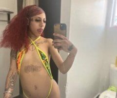 FULFILL YOUR DESIRE 😘CREAMY FAT PUSSY 😳👅 BEST HEAD IN TOWN 🫦 AVAILABLE 24/7 - Image 5