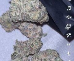 Indianapolis escorts - Straight Zaaaa ⛽💨🫧