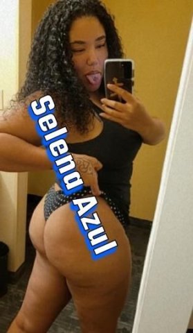 🌻🟣Sexy Selena🟣🌻Black && Spanish🟣🌻INCALL ONLY🟣NO OUTCALL🌻NORTON SHORES AREA🟣🌻I VIDEO VERIFY🌻🟣NO DEPOSIT🌻🟣PLEASURABLE EXPERIENCE🟣🌻RELAXING GETAWAY🟣🌻LET ENJOY EACHOTHERS COMPANY🟣🌻 - 1