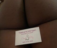 March Specials - Image 2