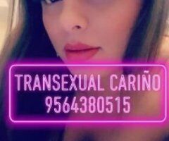🍑💦🍆🤤👿 Hermosa complaciente morenaza🍉🤤🍆💦🍑💦🍆 - Image 5