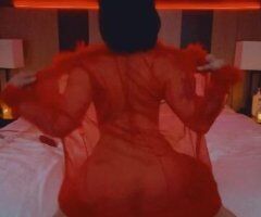 Santa Barbara escorts - intoxicating