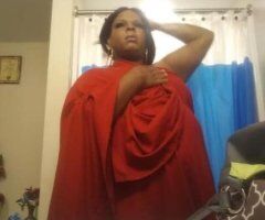 100% trans - Image 3