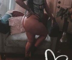 Playful, Shy, and people pleaser!! - Image 7