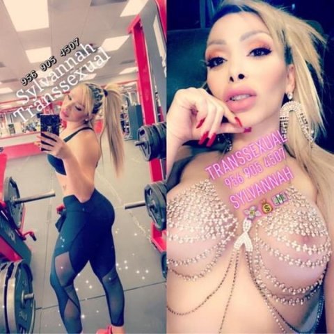 ❤🧡💛💚💙💜🖤🤍🤎Ostentosa Transsexual Sylvannah ❤🧡💛💚💙💜🖤🤍🤎 - 1