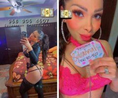 ❤🧡💛💚💙💜🖤🤍🤎Ostentosa Transsexual Sylvannah ❤🧡💛💚💙💜🖤🤍🤎 - Image 7