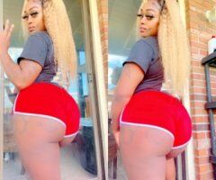 Creamer & Squirter - Image 8