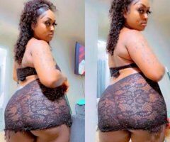 Creamer & Squirter - Image 10