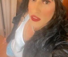 Hi bb Visitng the city / available now - Image 3