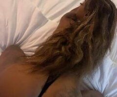 Exotic Stallion AVAILABLE 💋 - Image 2
