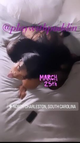 (New in town) !!!!*💕PUDDIN the freak!!!😋 And yep Im THA HEAD🍆 MONSTER😈 BEAST!!! Pussy soaking wett 💦 come watch it SQUIRT💦☺ Suck the soul out the dick🍆💦 like its my treat🍭🍬 *** INCALLS ONLY!!! *** - 1