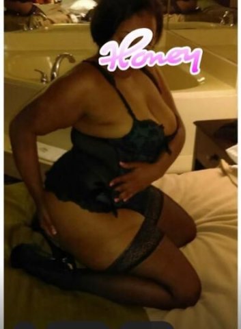 HUNNY IS BACK 🍯 - 1