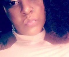 🍒 🌸 🌼fierceDuchess Dominican an Irish exotic mix - Image 2