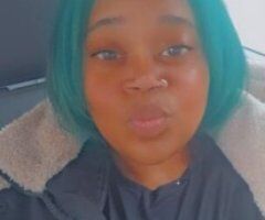🍒 🌸 🌼fierceDuchess Dominican an Irish exotic mix - Image 4