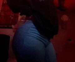 🍒 🌸 🌼fierceDuchess Dominican an Irish exotic mix - Image 5