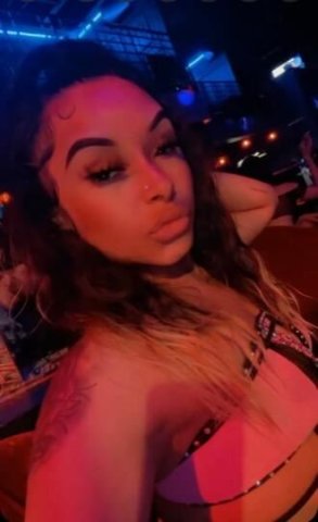 Persian Persuasian - 1