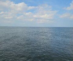 Savannah escorts - 70 bbj outcall