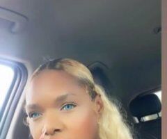 Santa Barbara escorts - welcome to hunntterville