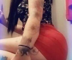 🥰😻 Kitty 😻🥰 - Image 4