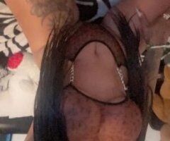 Gainesville escorts - miel