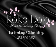 Owner of KoKos Dojo - Image 2