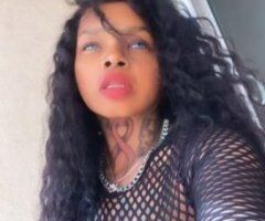 Ventura escorts - welcome to hunntterville